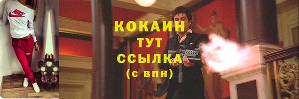 крисы Майский