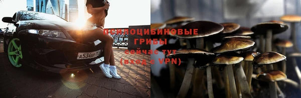 PSILOCYBIN Магадан
