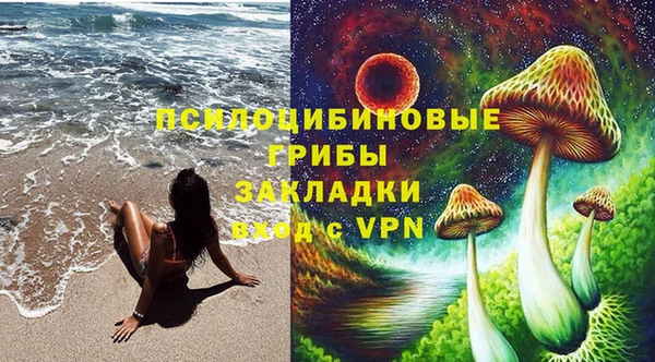 спайс Магас