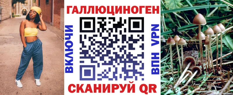Купить закладки  Южа  Галлюциногенные грибы Psilocybine cubensis 