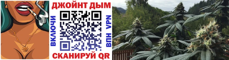 Конопля гибрид Купить Южа